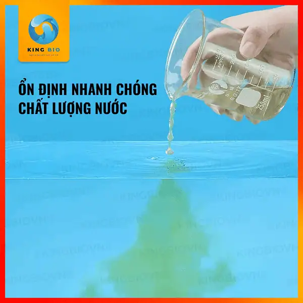 Chế phẩm sinh học cân bằng môi trường sống cho cá, khử Clo nước máy và ổn định PH Yee Stabilizer - Ảnh 5