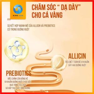 Cám Yee GoldFish loại mới thức ăn cân bằng dinh dưỡng cho cá vàng - Ảnh 2
