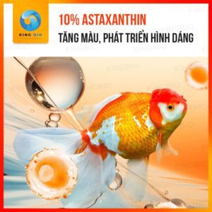 Cám cho cá vàng Yee Fish Food thức ăn cân bằng dinh dưỡng - Ảnh 3