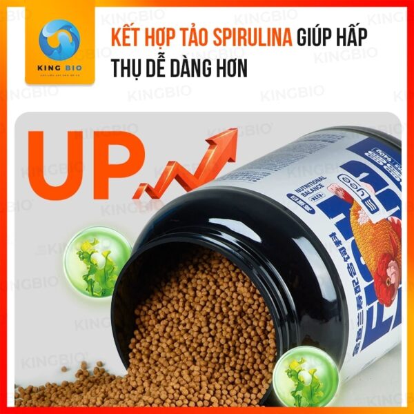 Cám cho cá vàng Yee Fish Food thức ăn cân bằng dinh dưỡng - Ảnh 5