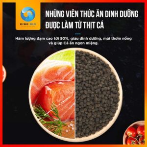 Cám Yee Grain Food thức ăn dinh dưỡng hỗ trợ tăng màu và tiêu hóa cho cá Hổ - Ảnh 4
