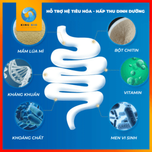 Yee Silver Arowana thức ăn dinh dưỡng cho cá rồng - Ảnh 3