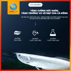 Yee Silver Arowana thức ăn dinh dưỡng cho cá rồng - Ảnh 4