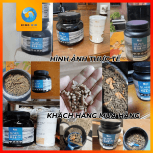 Yee Silver Arowana thức ăn dinh dưỡng cho cá rồng - Ảnh 5