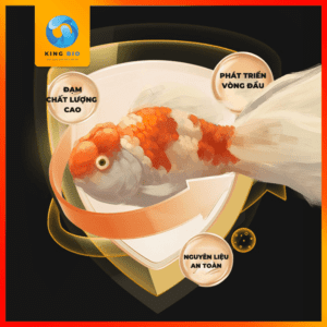 Cám Yee Special Goldfish Food - Thức ăn cao cấp dinh dưỡng dành cho cá vàng - Ảnh 2