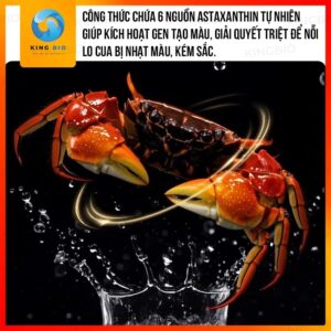 [Hộp 115g] Cám Yee Crab Food - thức ăn dinh dưỡng cho cua cảnh, cua ẩn sĩ, ốc mượn hồn - Ảnh 3