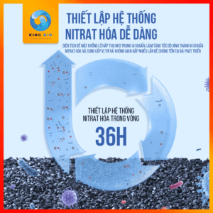 Thanh lọc than hoạt tính Yee vật liệu lọc cao cấp thế hệ mới dành cho bể cá - Ảnh 3