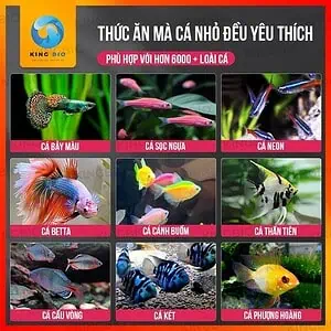 Cám cho cá nhỏ Yee Fish Food thức ăn dinh dưỡng cho cá nhỏ - Ảnh 3