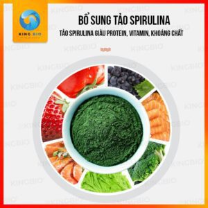 Cám Bessn Cichlidae thức ăn cân bằng dinh dưỡng cho cá Ali và họ cá Cichlids - Ảnh 4