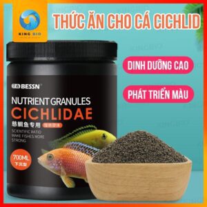 cám Bessn Cichlidae