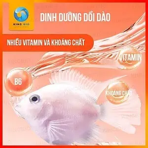 Cám cá két panda Yee Fish Food thức ăn cân bằng dinh dưỡng - Ảnh 3