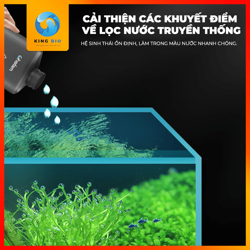 Cherlam Algaecide Dung Dịch Diệt Rêu Tảo Hại Nhanh Chóng Cho Bể Cá, Bể ...