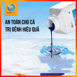 Yee Methylene Blue thuốc trị bệnh ngoài da cho cá - Ảnh 3
