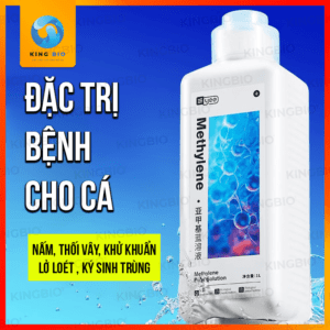 Methylen xanh Yee mau moi