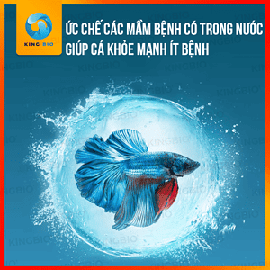 Yee Balance Slice viên ổn định và cân bằng nước bể cá - Ảnh 2