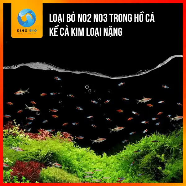 Yee Balance Slice viên ổn định và cân bằng nước bể cá - Ảnh 4