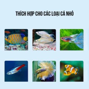 Artemia sinh khối sấy khô Yee thức ăn giàu đạm cho cá cảnh - Ảnh 3