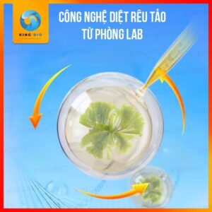 Bột diệt rêu tảo Yee thế hệ mới cho bể cá - Ảnh 3