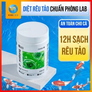 Bột diệt rêu tảo Yee Algaecide