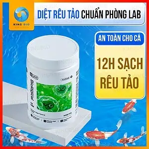 Bột diệt rêu tảo Yee Algaecide