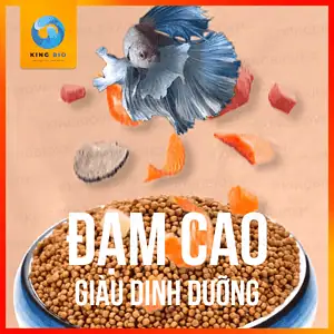 Cám Betta Yee Fighting Fish thức ăn kích màu cho cá betta - Ảnh 2