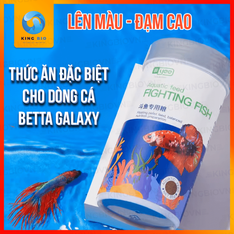 Cám cho cá Betta Yee Fighting Fish