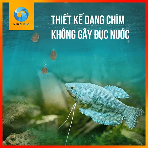 Cám Yee Ground Fish thức ăn dinh dưỡng cho cá tầng đáy - Ảnh 4