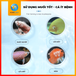 Muối khoáng viên nén Yee 2 màu loại đặc biệt - Ảnh 3