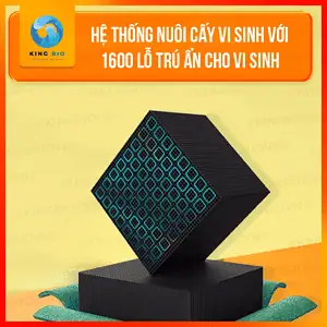 Than hoạt tính Yee Bee Cubic - Ảnh 2