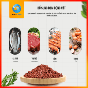 Cám Yee Parrot Fish Food - Thức ăn cân bằng dinh dưỡng cho cá hồng két - Ảnh 4