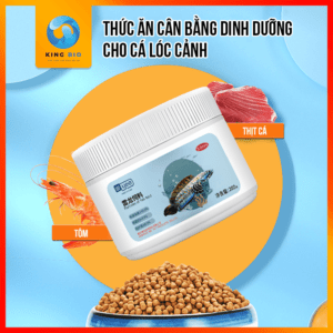 Cám Yee - Thức ăn cân bằng dinh dưỡng hỗ trợ kích màu cho cá lóc cảnh