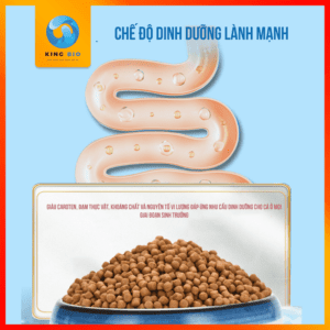 Cám Yee - Thức ăn cân bằng dinh dưỡng hỗ trợ kích màu cho cá lóc cảnh - Ảnh 4