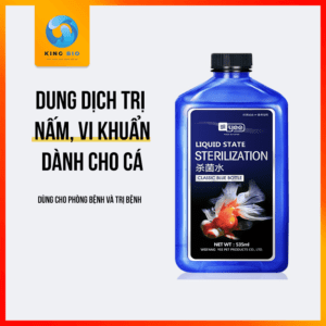 Yee Sterilization thuốc phòng và trị bệnh do vi khuẩn cho cá cảnh