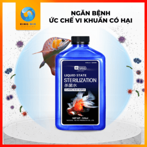 Yee Sterilization thuốc phòng và trị bệnh do vi khuẩn cho cá cảnh - Ảnh 4