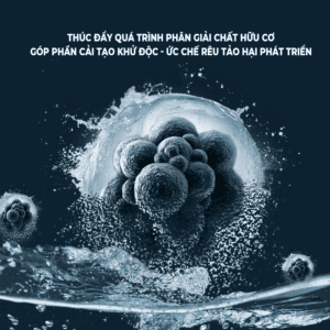 Cherlam Amazon Probiotics vi sinh cao cấp, thúc đẩy tiêu hóa, cung cấp Axit Amin cho bể cá (hộp 6 gói x 10g) - Ảnh 2