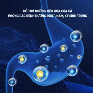 Cherlam Amazon Probiotics vi sinh cao cấp, thúc đẩy tiêu hóa, cung cấp Axit Amin cho bể cá (hộp 6 gói x 10g) - Ảnh 5