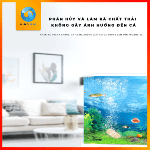 Yee Probiotics vi sinh lợi khuẩn EM – cải thiện mội trường sống của cá, tép và cây thủy sinh - Ảnh 3