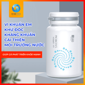 Yee Probiotics vi sinh lợi khuẩn EM – cải thiện mội trường sống của cá, tép và cây thủy sinh