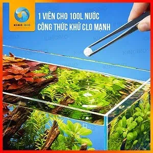 Yee Fish Lebao viên khử Clo nước máy cho bể cá cảnh (hộp 100 viên) - Ảnh 2
