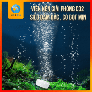 Viên sủi CO2 Nepall cao cấp - Ảnh 2