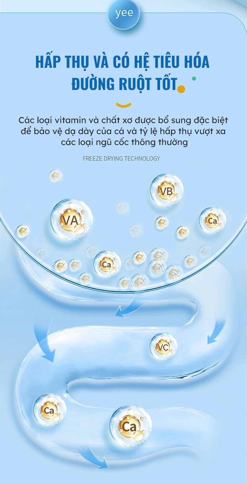 Hỗ trợ hệ tiêu hóa cho cá cảnh Hỗ trợ hệ tiêu hóa cho cá cảnh