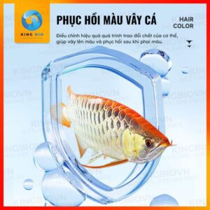 Phục hồi màu sắc trên vây cá