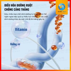 Hỗ trợ hệ tiêu hóa cho cá cảnh