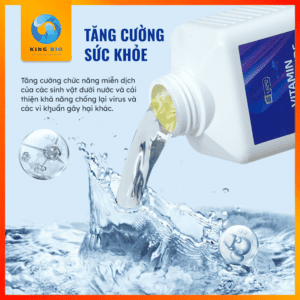Tăng cường sức khỏe cho cá cảnh