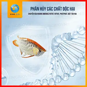 Vi sinh cao cấp cho bể cá YEE Nitrifier - Ảnh 3