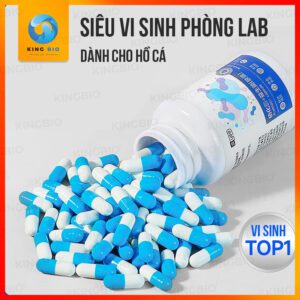 vi sinh YEE Nitrifier