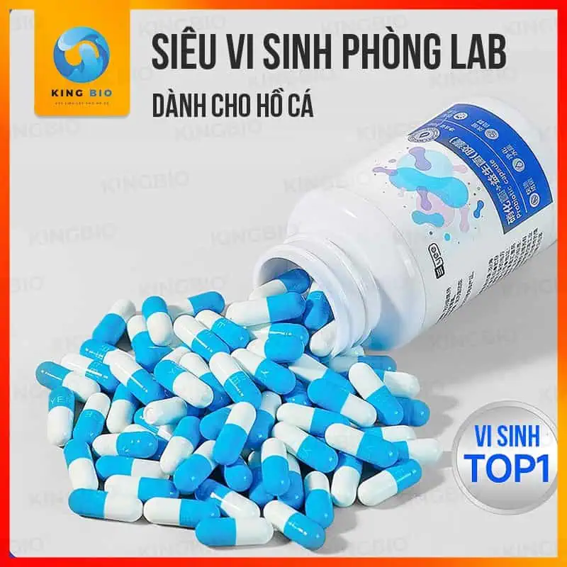 viên nang vi sinh Yee mới vi sinh YEE Nitrifier