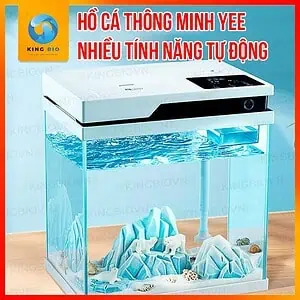 Bể cá mini thông minh để bàn Yee
