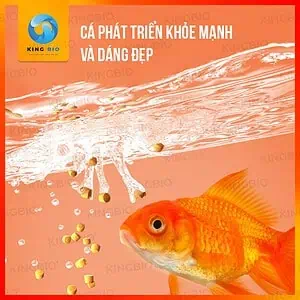 Cám Yee Koi Food thức ăn cân bằng dinh dưỡng cho cá KOI - Ảnh 3