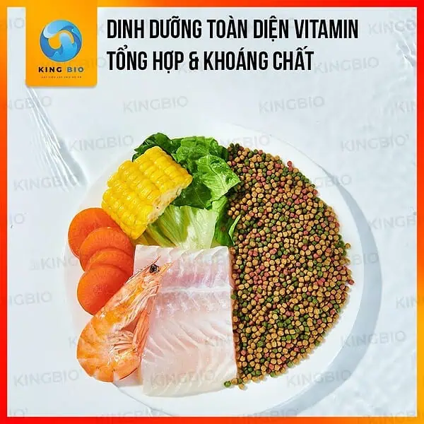 Cám Yee Koi Food thức ăn cân bằng dinh dưỡng cho cá KOI - Ảnh 4